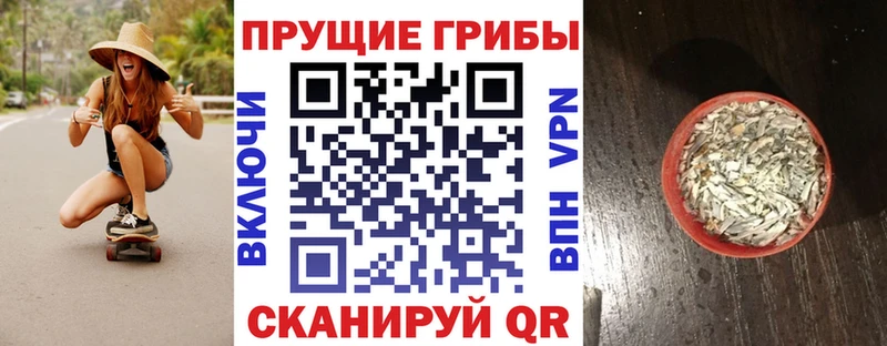 продажа наркотиков Псков Псилоцибиновые грибы прущие грибы
