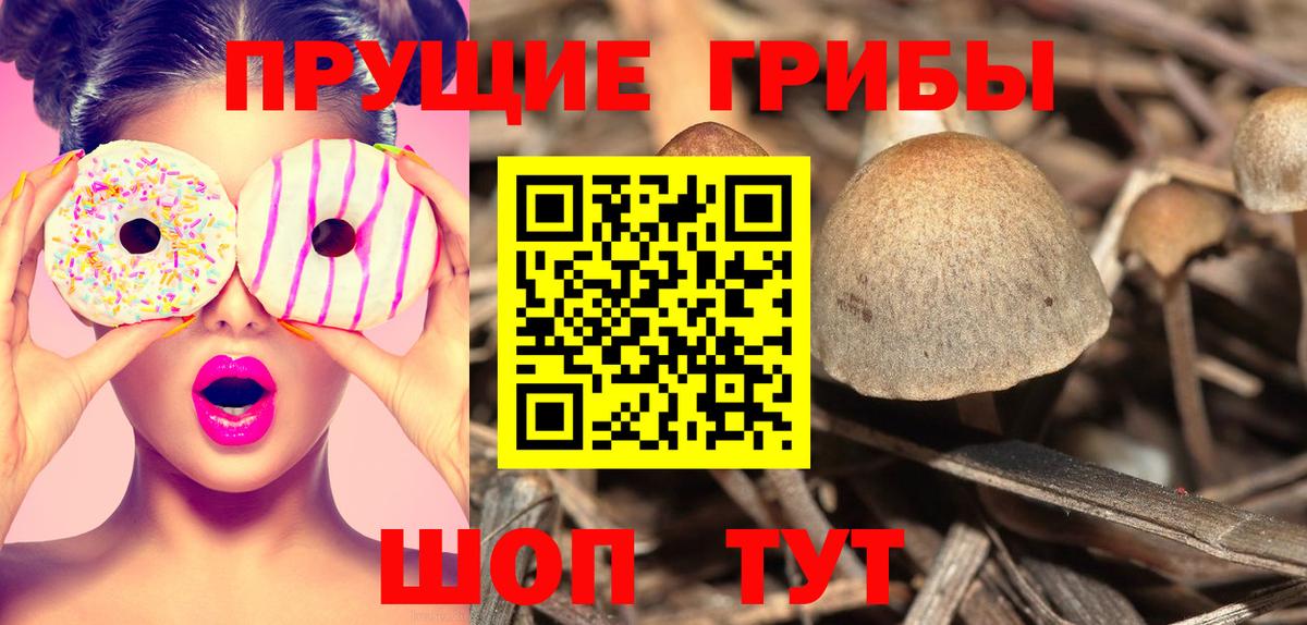 Галлюциногенные грибы MAGIC MUSHROOMS  Вход с VPN  Псков 